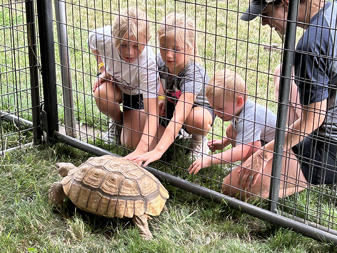 children pet a tortoise at the Carver County Fair exotic zoo