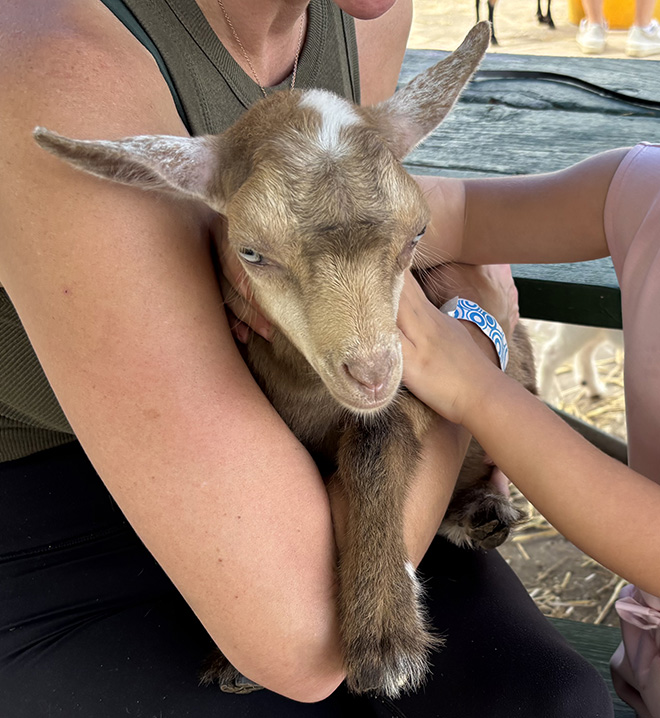 a woman holds a goat kid in her arms while her daughter pets