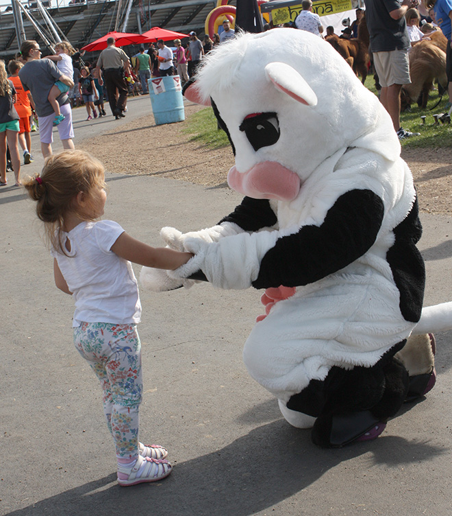 Tippy the cow shakes hands with a little girl
