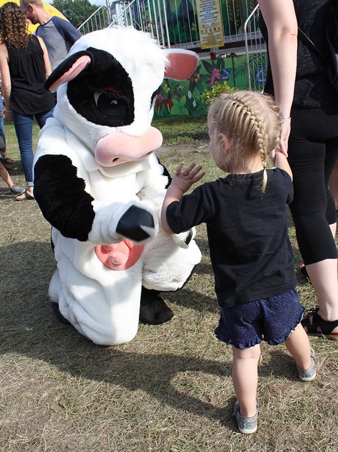 Tippy the cow waves to a little girl
